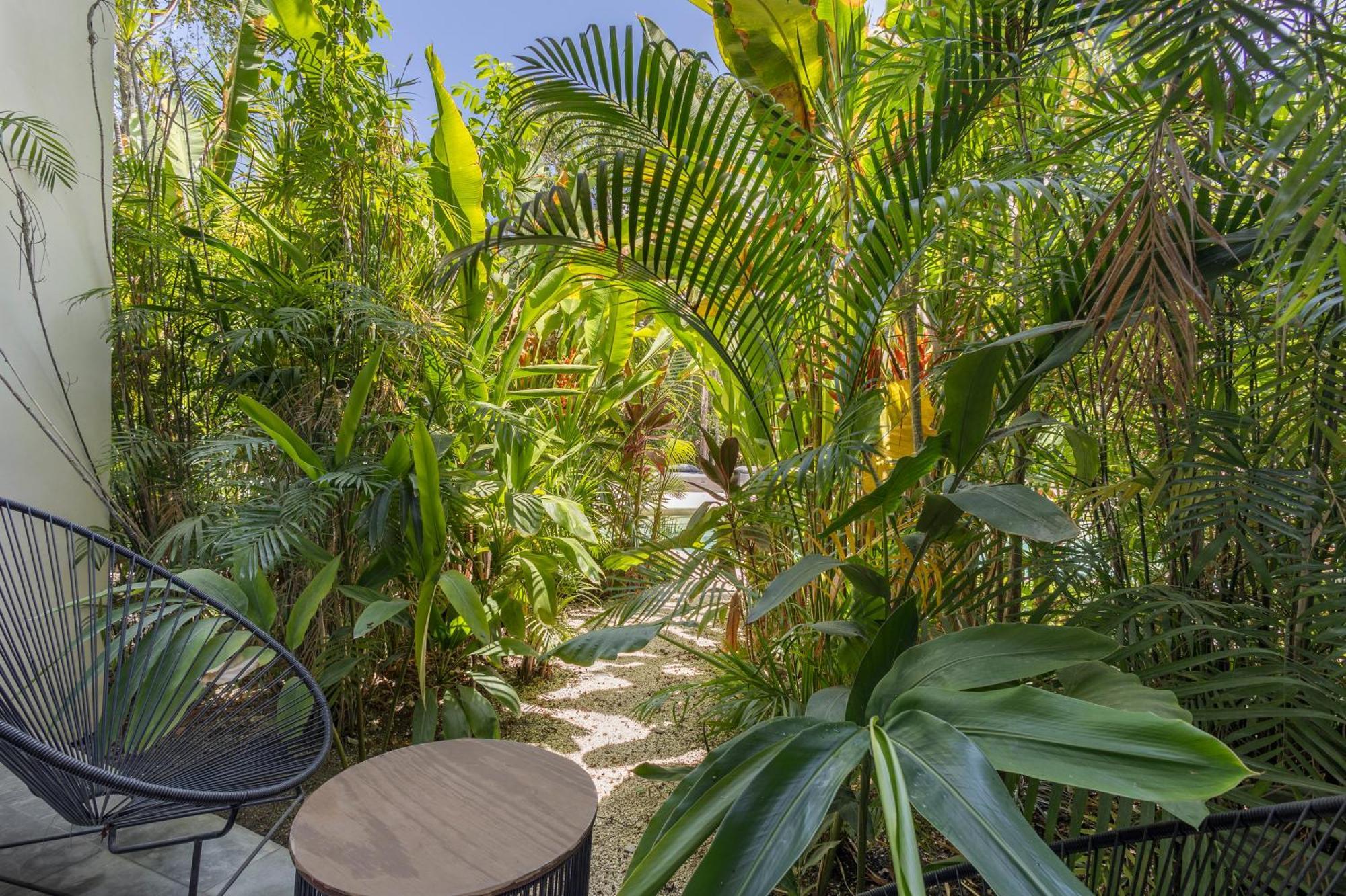 トゥルムMistiq Gardensアパートメント エクステリア 写真